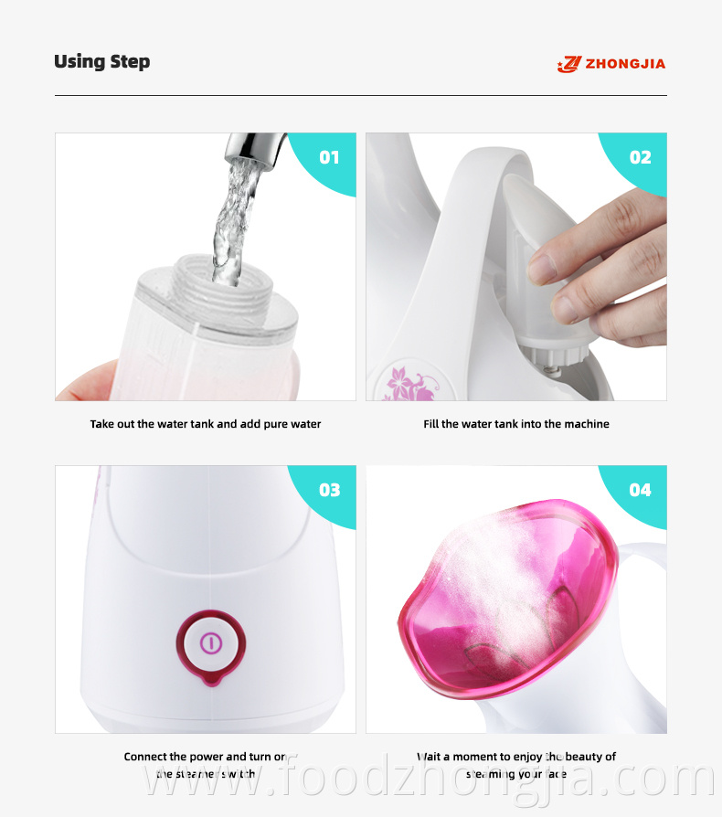 Hot Mist High Quality Home Appliance Custom Logo Electrical Mini Portable Handheld Facial Steamer